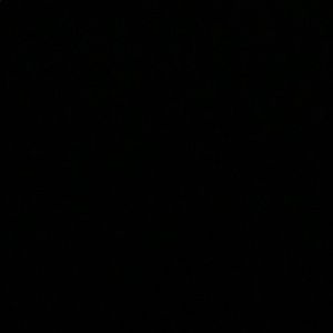 Meet your Posher, Sheidlin